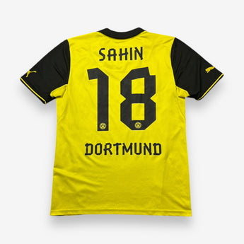 Borussia Dortmund 2013/2014