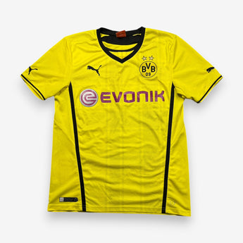 Borussia Dortmund 2013/2014