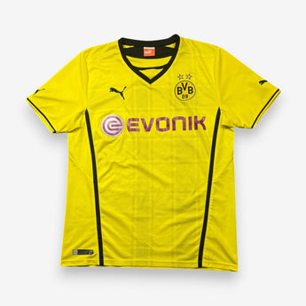 Borussia Dortmund 2013/2014
