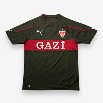 VfB Stuttgart 2010/2011