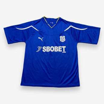 Cardiff City 2010/2011