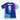FC Schalke 04 2024/2025