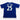 FC Everton 2010/2011