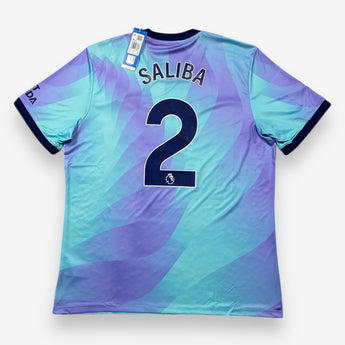 FC Arsenal 2024/2025