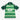 AS Saint-Etienne 2009/2010