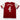FC Arsenal 2010/2011