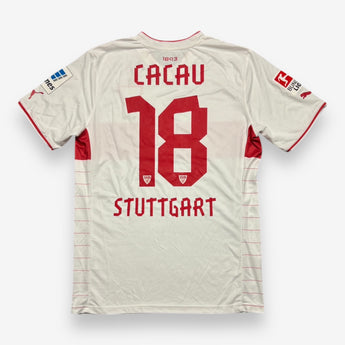 VfB Stuttgart 2013/2014