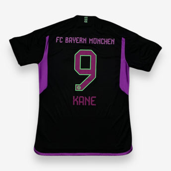 FC Bayern München 2023/2024